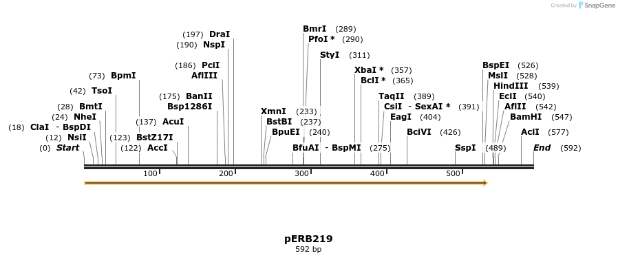 106695_map