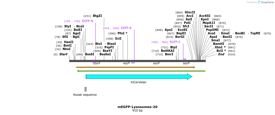 106702_map