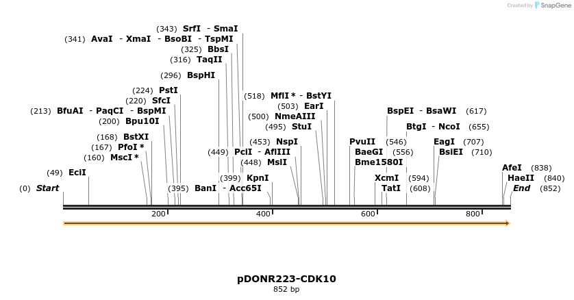 10671_map