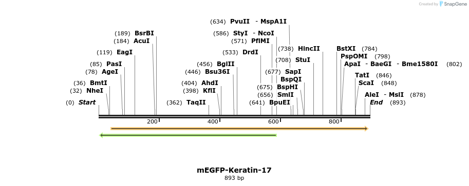 106713_map