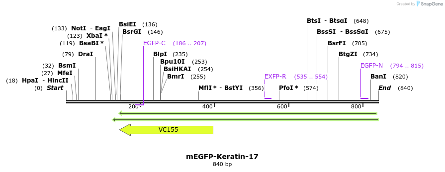 106714_map