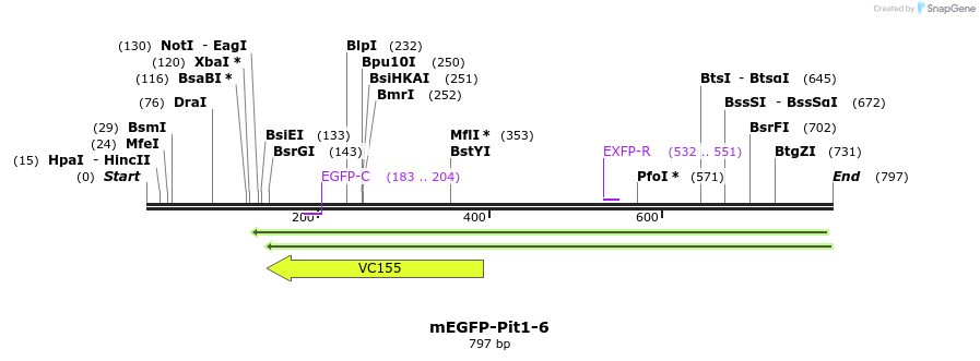 106717_map