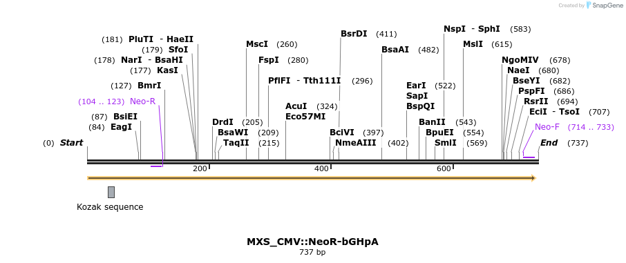 106718_map