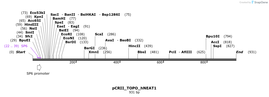 106719_map