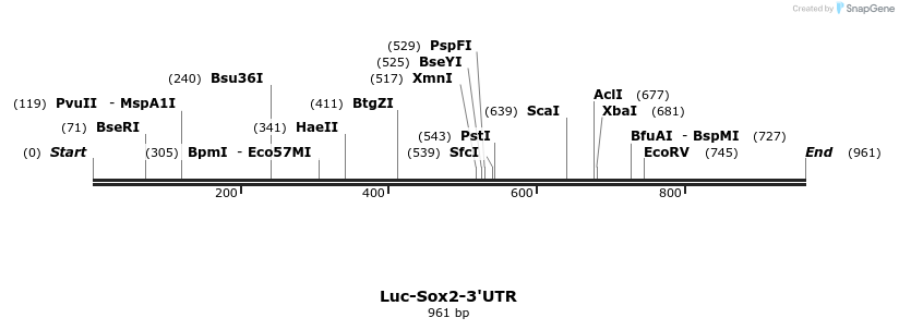 106722_map
