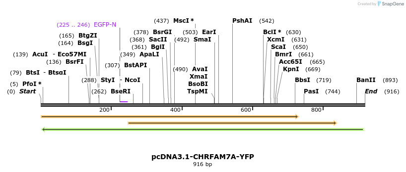 106724_map