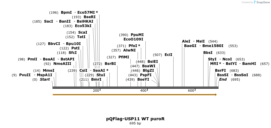 106728_map