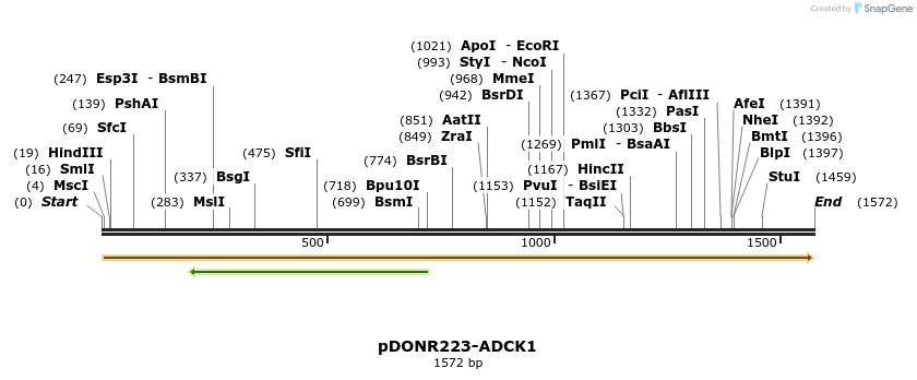 10673_map