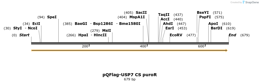 106730_map