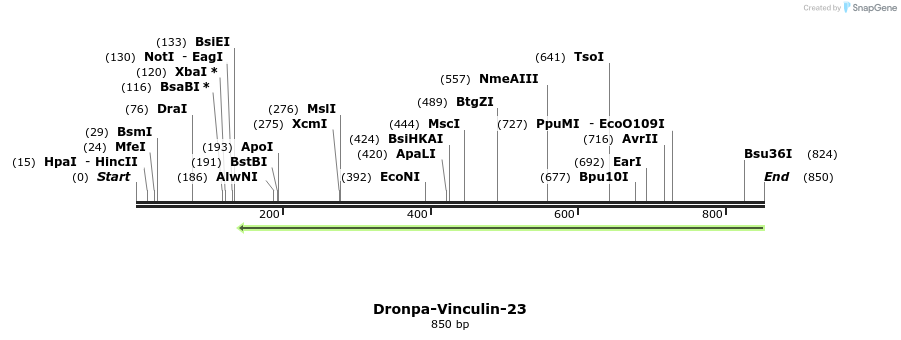 106733_map