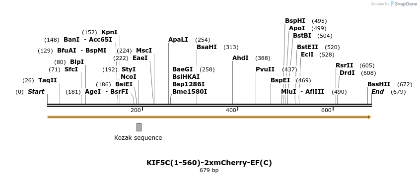 106734_map