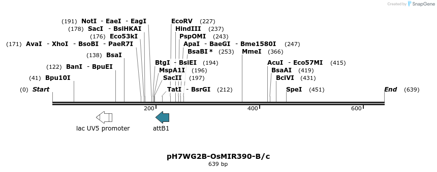 106737_map