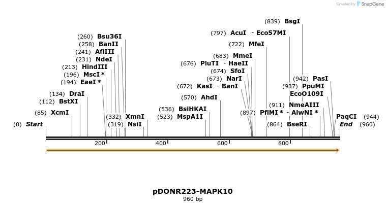 10674_map