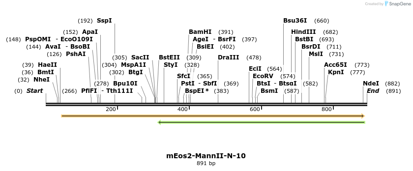 106742_map