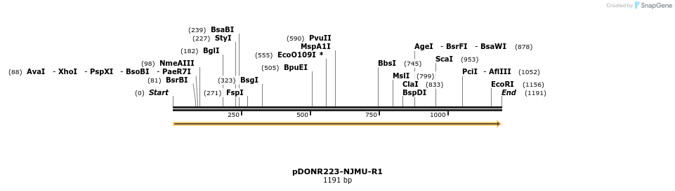 10675_map