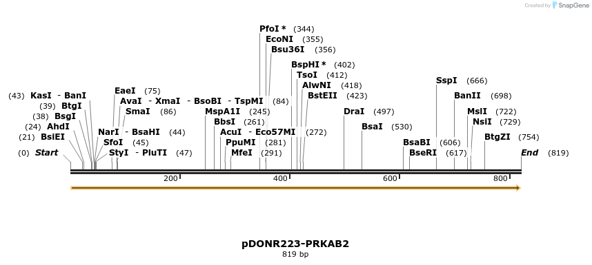 10676_map