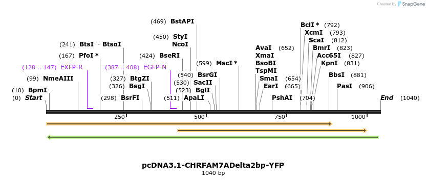 106763_map