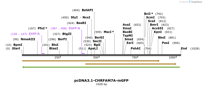 106768_map