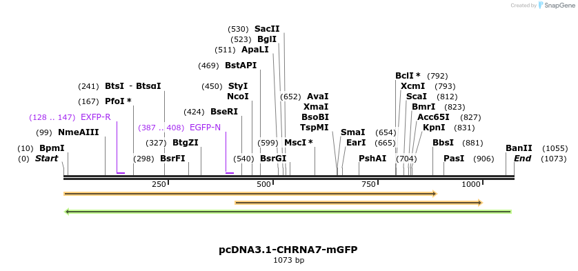 106769_map