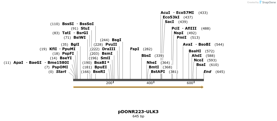10677_map