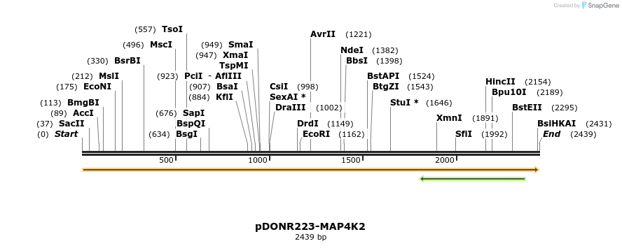 10679_map