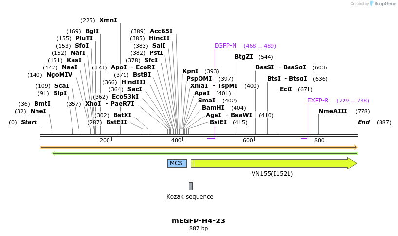106794_map