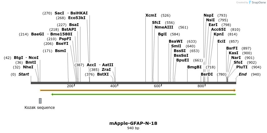 106802_map