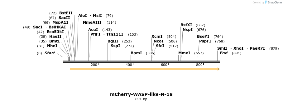 106804_map