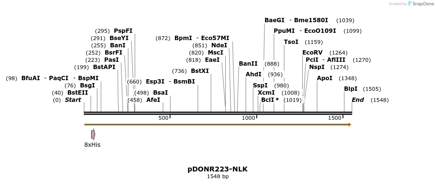 10681_map