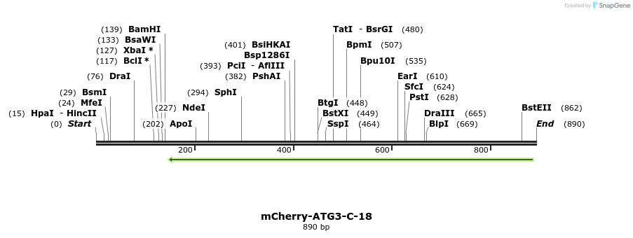 106810_map