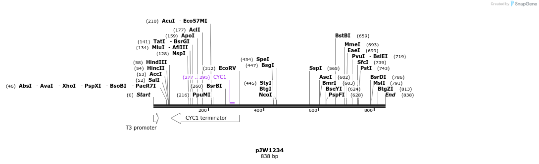 106811_map