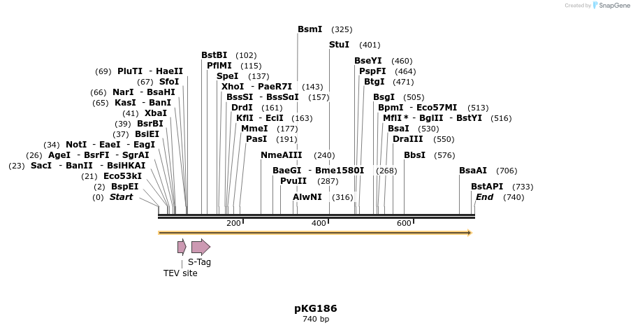 106813_map