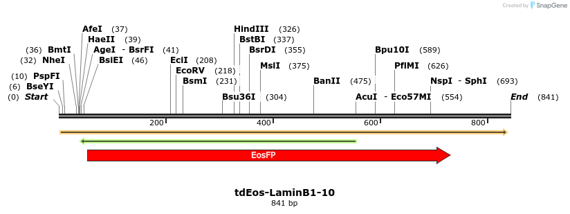 106816_map