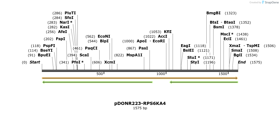 10682_map