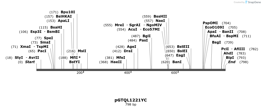 106821_map