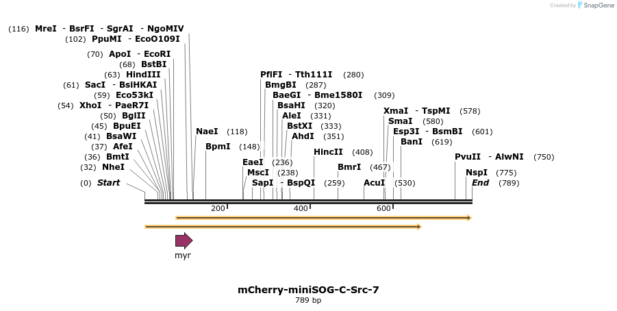 106823_map