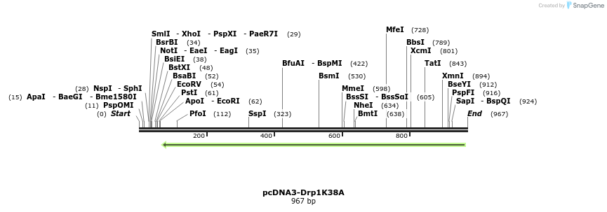 106828_map