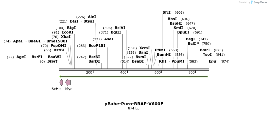 106838_map