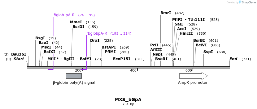 106867_map