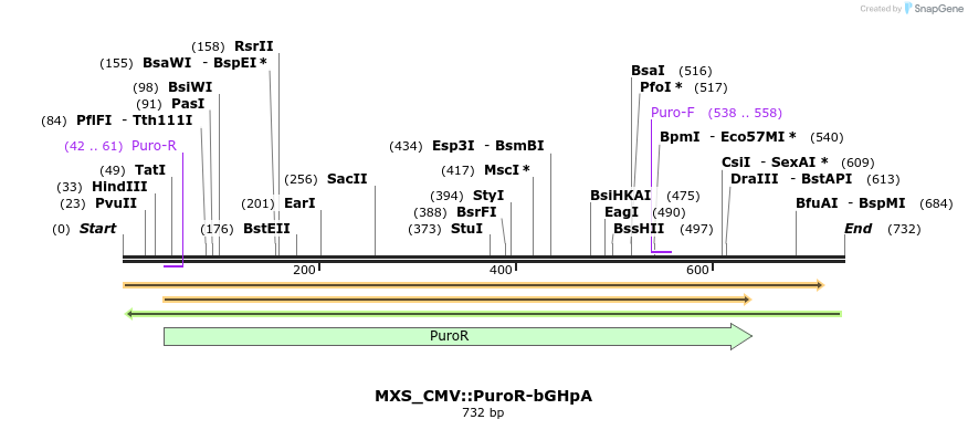 106868_map