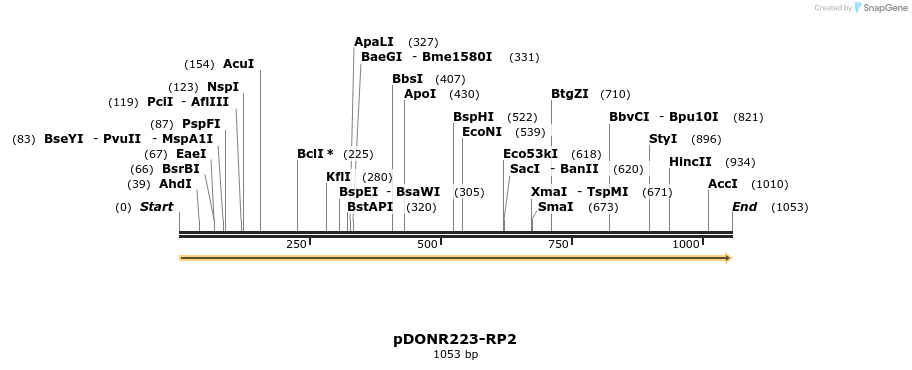 10687_map