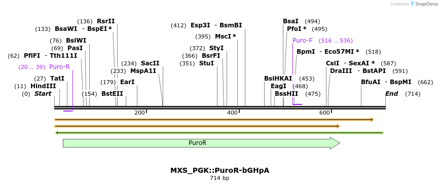 106870_map