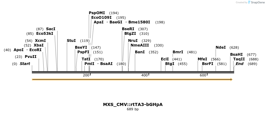 106871_map