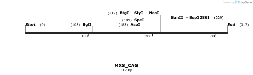106872_map