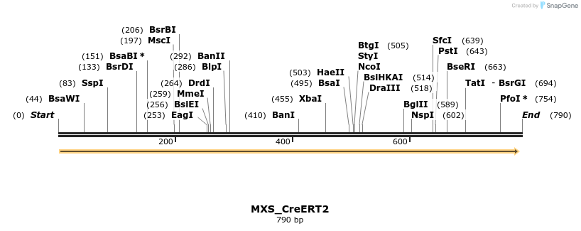 106873_map