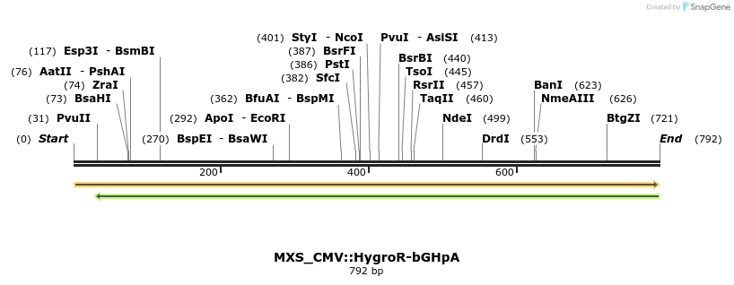 106874_map