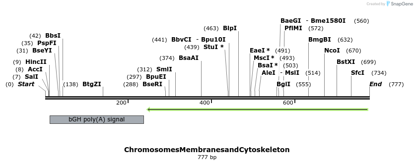 106879_map
