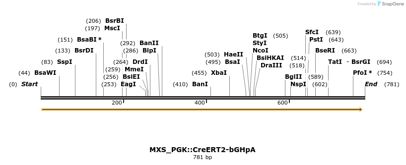 106881_map