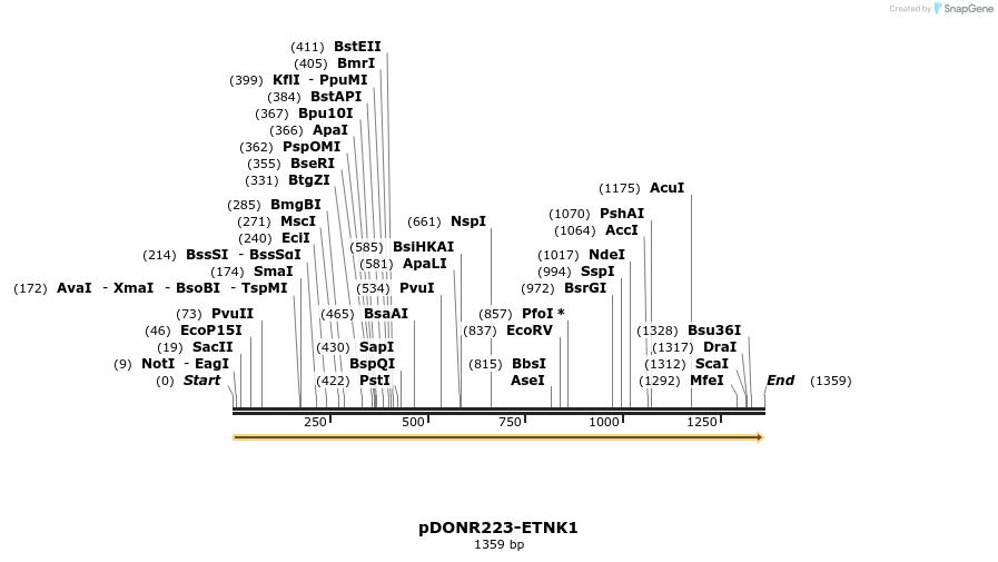 10689_map