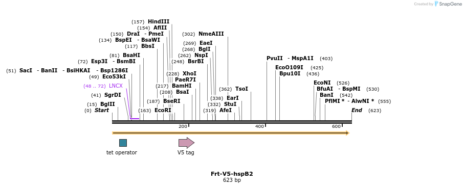 106891_map